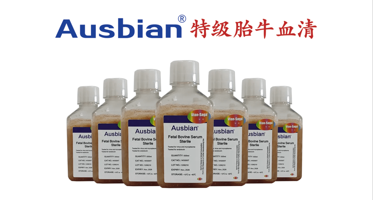 中性粒细胞消除肿瘤抗原逃逸变异，胎牛血清助力科研