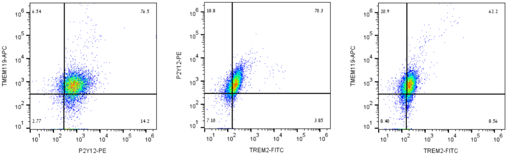 小胶质细胞标记物的热门研究工具
