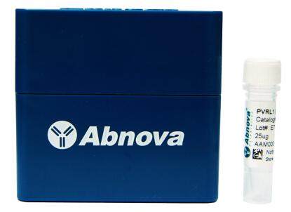 中英文说明书丨艾美捷MYC(人)重组蛋白介绍 中英文说明书丨艾美捷MYC(人)重组蛋白介绍