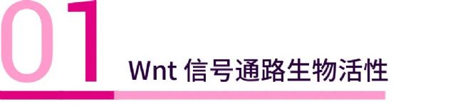 抗癌新思路之过度激活 Wnt 通路实现"反杀" 癌细胞！ - MedChemExpress
