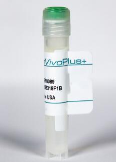 PD-1抗体丨体内大鼠IgG2a同种型对照，抗三硝丨基苯丨酚方案