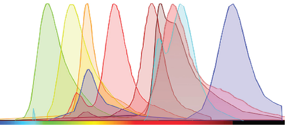 mIHC实操宝典：荧光信号出现非特异重叠，如何改善实验？