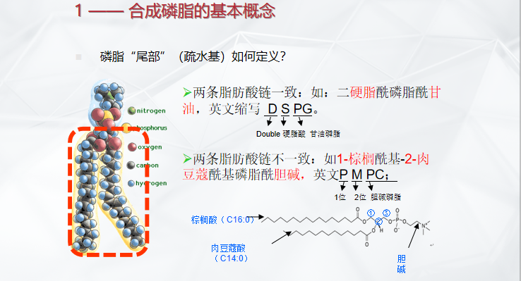 微信图片_20211025131301.png 微信图片_20211025131301.png