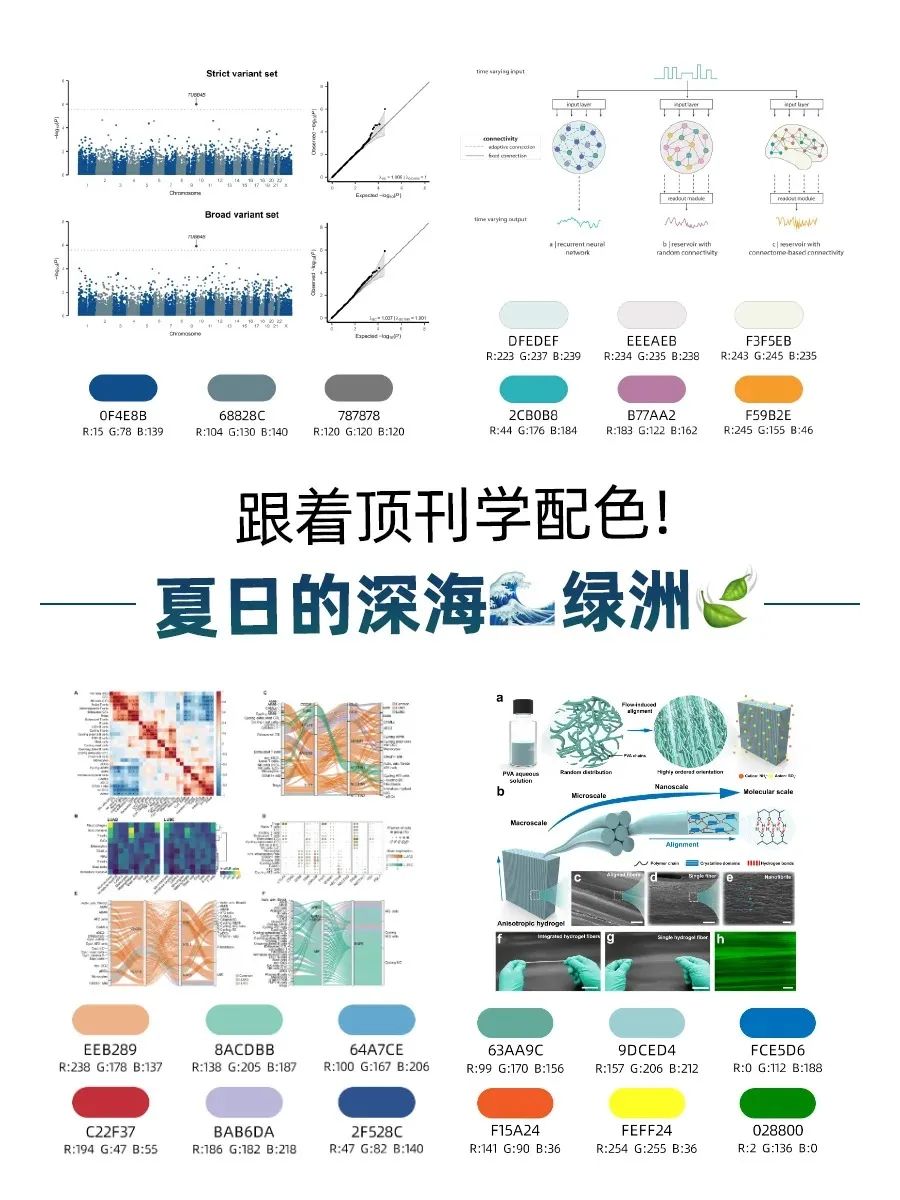 跟着顶刊学配色——夏日科研降温配色！