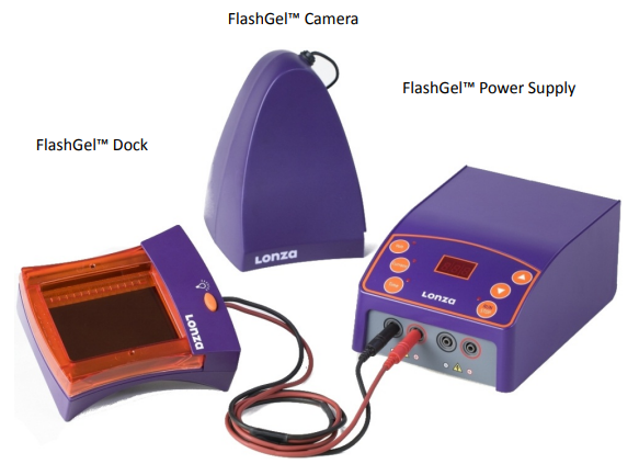 电泳界的yyds：FlashGel闪胶系统！