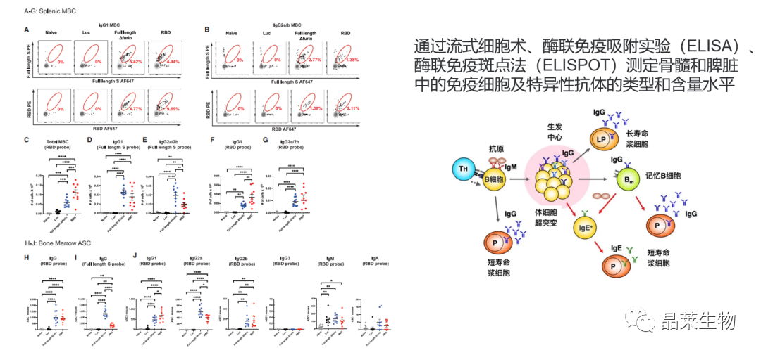 新闻图片11