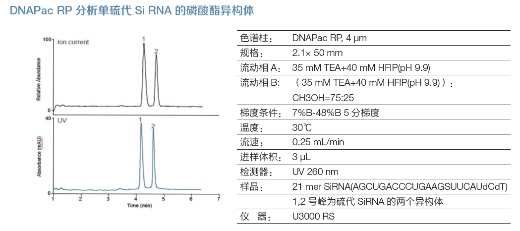 四小名助|快速核酸药物表征全攻略来了