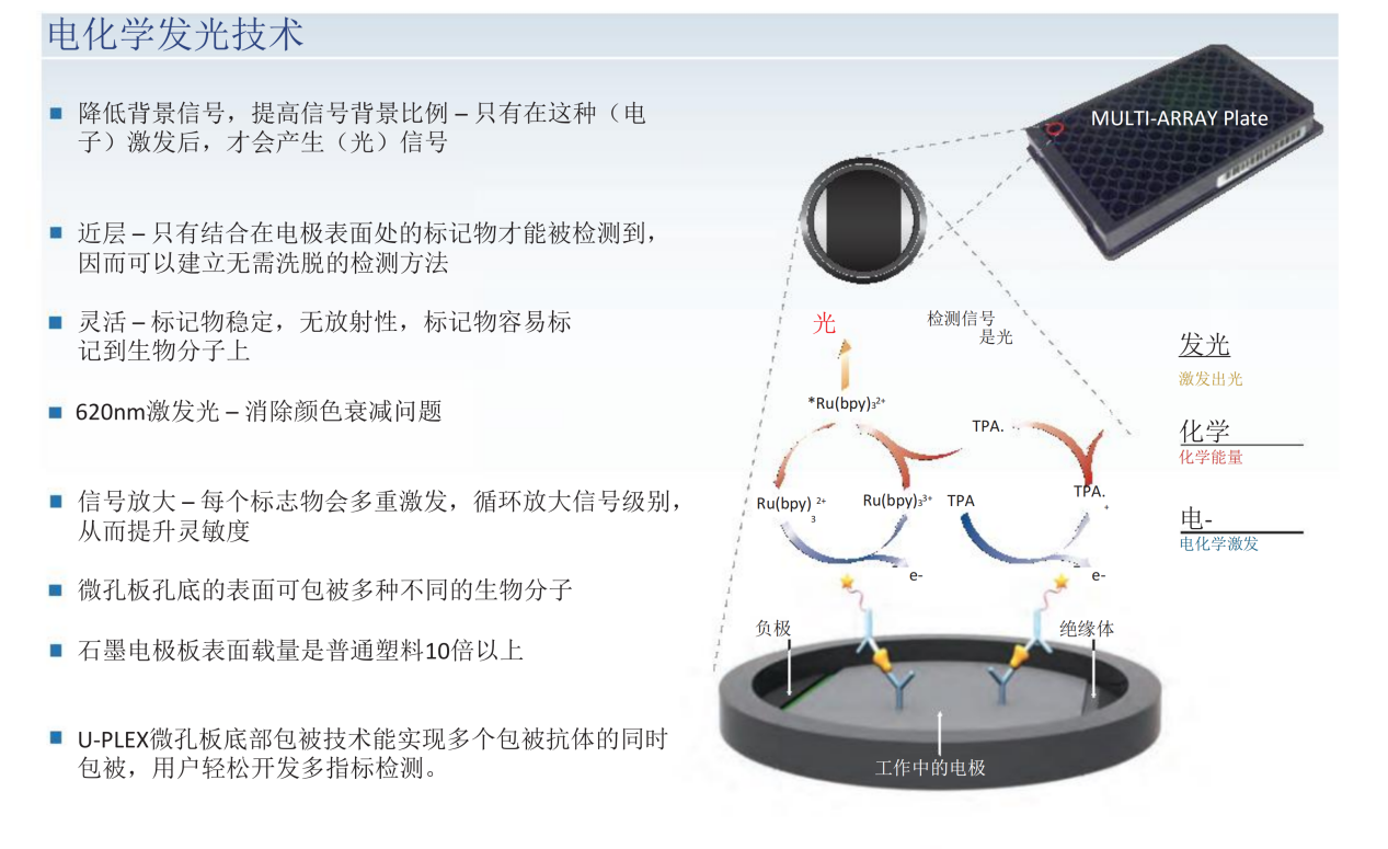 MSD免疫分析技术指南(1)_00