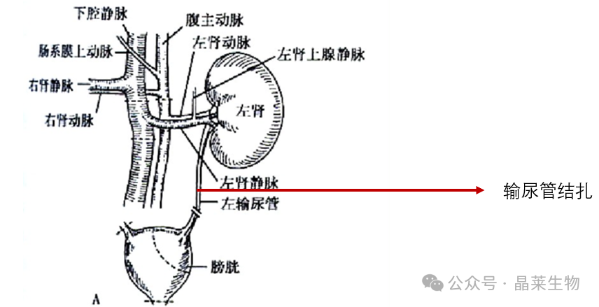 1709541721124687.png 新闻图片11