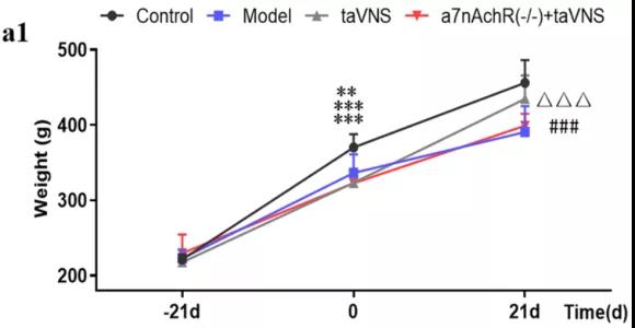  大鼠在神经领域的应用
