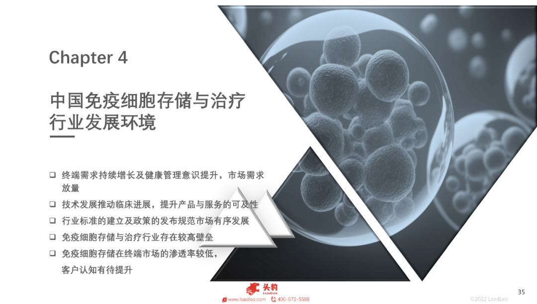 1696820426158356EEEE.png 41.png