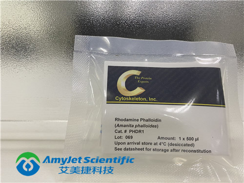 中英文说明书丨艾美捷Actin聚合检测试剂盒的原理和应用 中英文说明书丨艾美捷Actin聚合检测试剂盒的原理和应用