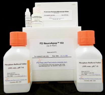 中英文说明书丨艾美捷FD NeuroApap神经元TUNEL凋亡检测试剂盒 中英文说明书丨艾美捷FD NeuroApap神经元TUNEL凋亡检测试剂盒