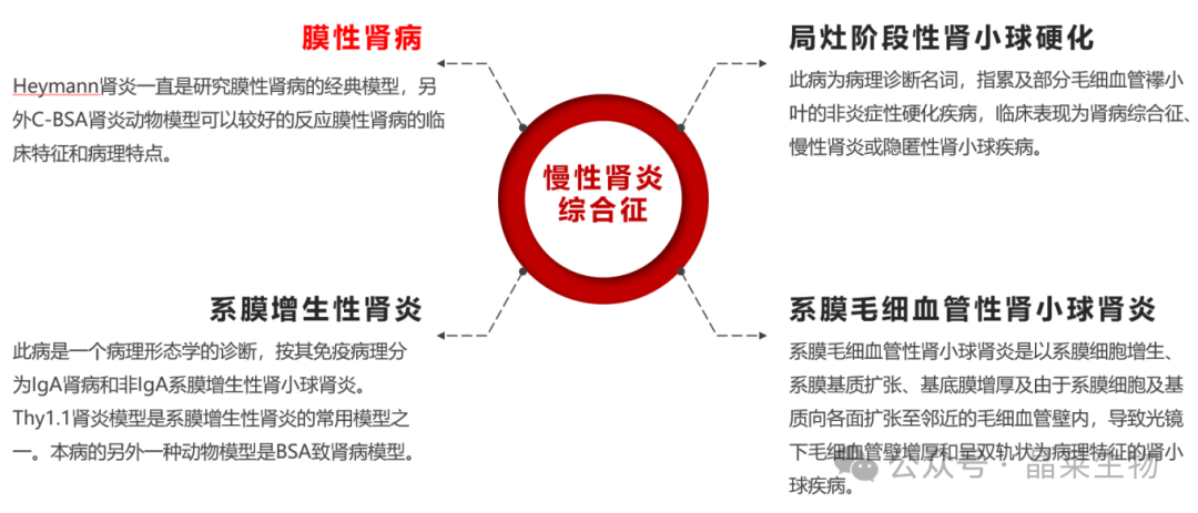 1709541643682399.png 新闻图片3