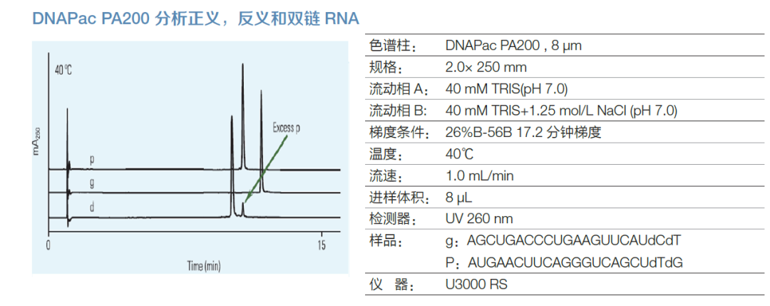 四小名助|快速核酸药物表征全攻略来了