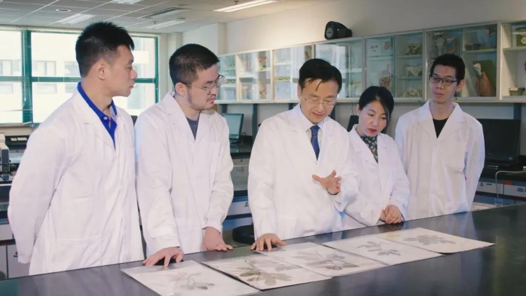 绘谱创新︱猪胆酸--如何被研究猎人强势捕获