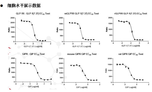 新闻图片1