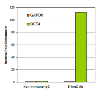 EpiQuik? Quantitative PCR Fast Kit 