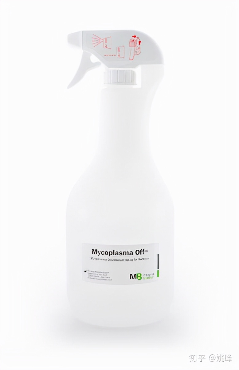 小小的细胞，我们该如何保护你呢？