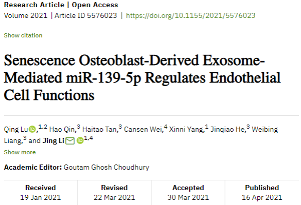 衰老成骨细胞来源的外泌体介导的miR-139-5p调节内皮细胞功能