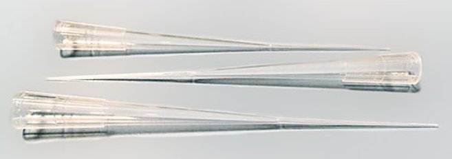 【知识库】如何做到蛋白质电泳迁移率的精确可重复性测量？