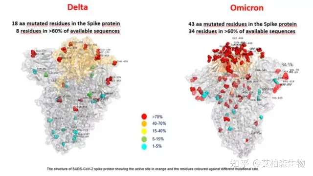支持全球科研抗疫，艾柏森成功研发Omicron变异株重组蛋白