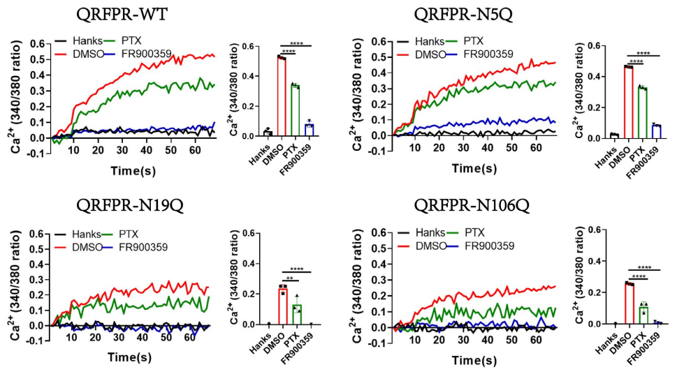 百日咳毒素及其应用