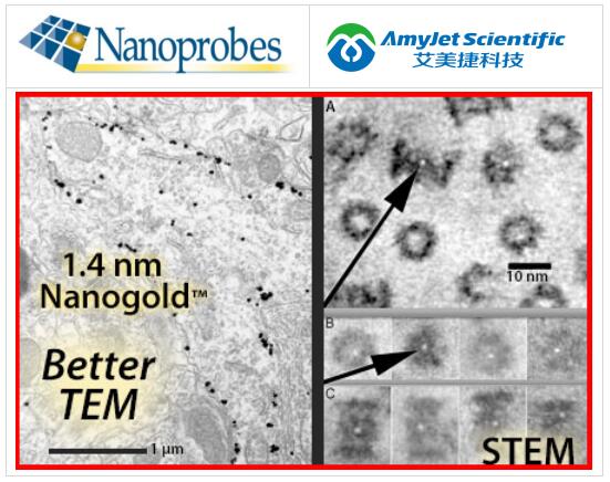 Nanoprobes 金纳米颗粒标记试剂丨1.4 nm Nanogold 标记试剂 Nanoprobes 金纳米颗粒标记试剂丨1.4 nm Nanogold 标记试剂