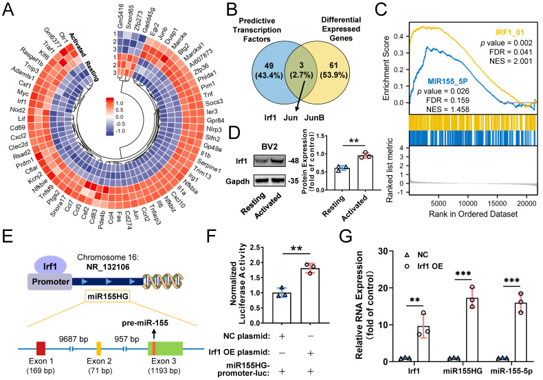 外泌体技术服务 外泌体技术服务