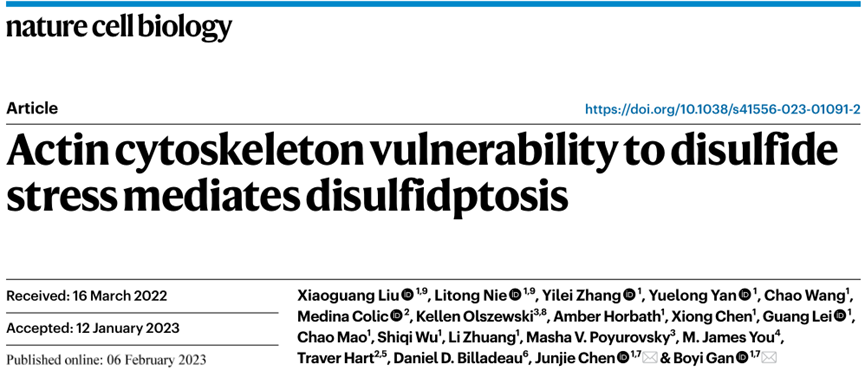 Elabscience细胞死亡大盘点-双硫死亡