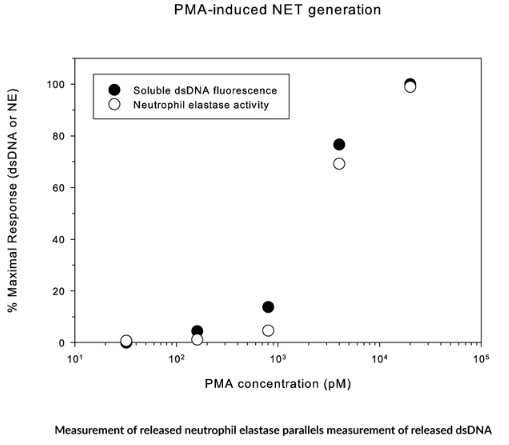 艾美捷中性粒细胞胞外捕获物（NET）检测的制备方法