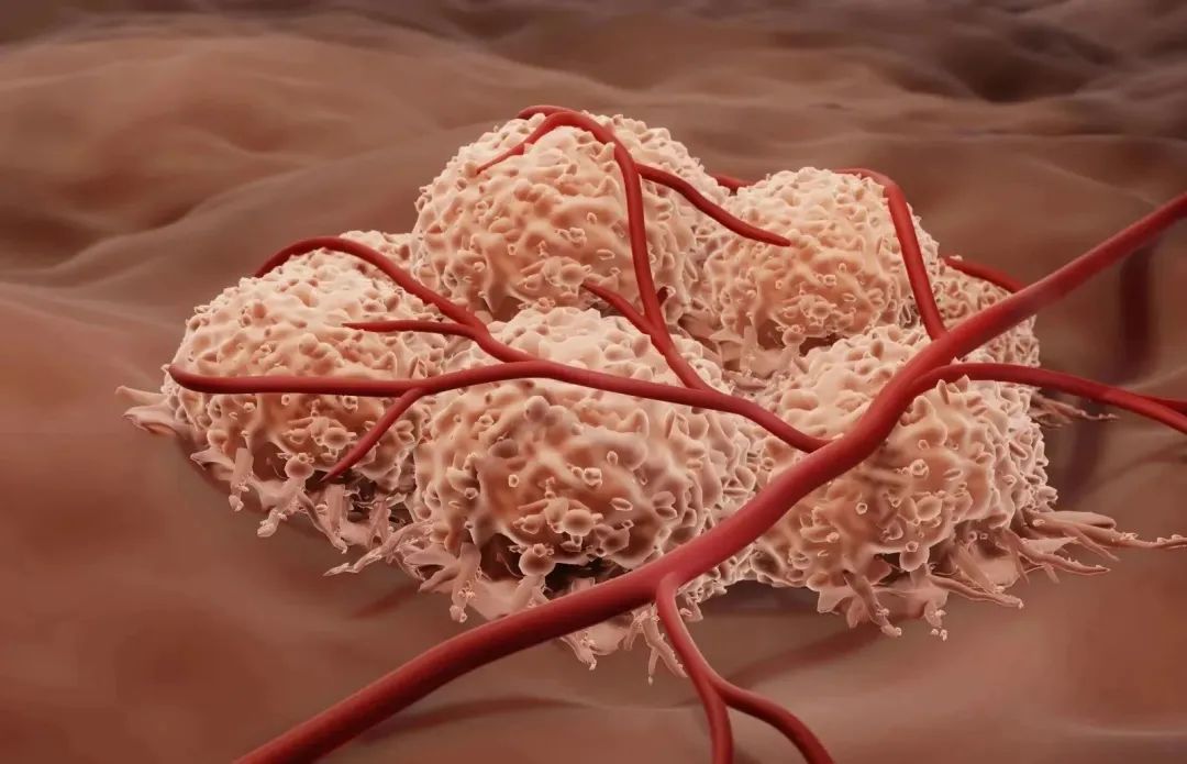 ELISA研究领域丨癌症研究领域ELISA靶标分类（上）