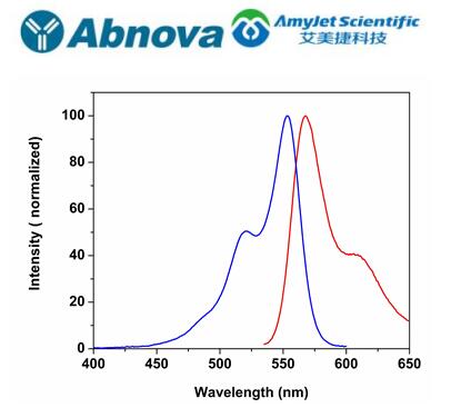 艾美捷Abnova 荧光染料 555-C3 马来酰亚胺方案