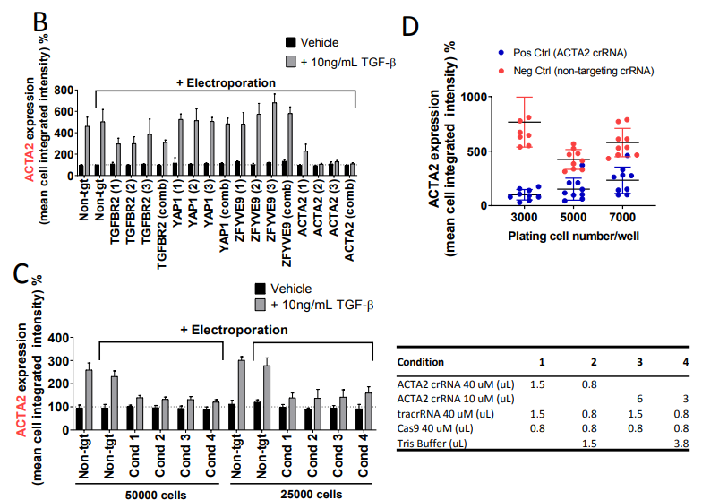 高通量电转全基因组CRISPR，快速了解疾病机理、筛选药物靶点