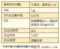 酶切反应条件的优化及操作步骤