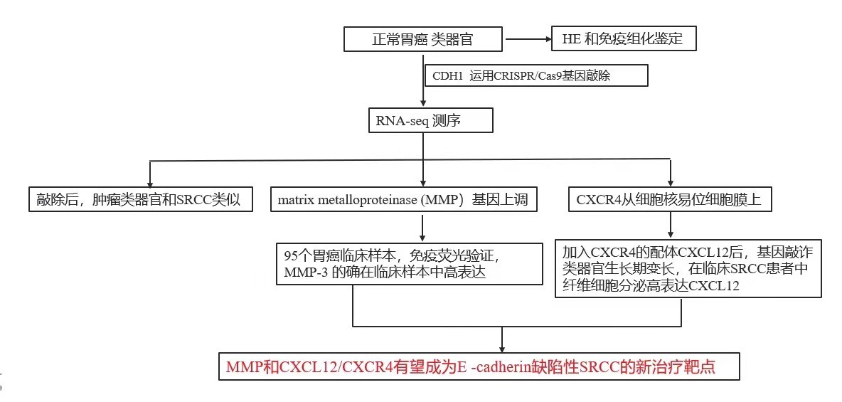新闻图片13