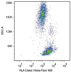 HLA-A单克隆抗体实验，案例展示