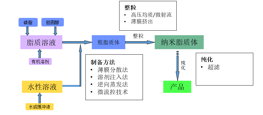 中式平台-脂质体关键工艺之挤出和超滤