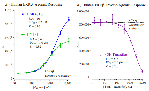 Cayman Chemical：人类雌激素相关受体β报告物测定系统   