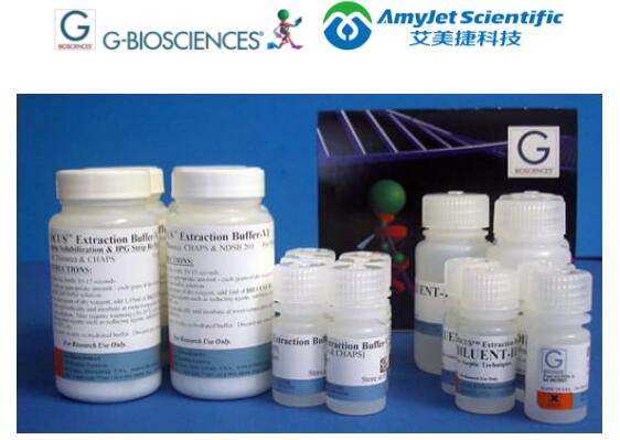 蛋白质组学丨G-Biosciences FOCUS™ 提取缓冲液应用