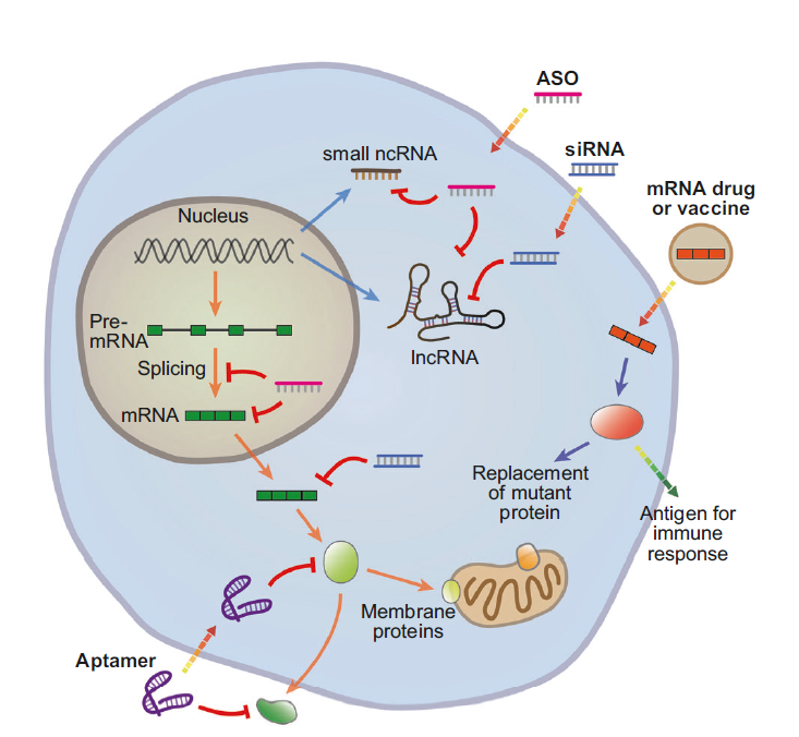 图片12-3.png 图片12-3.png