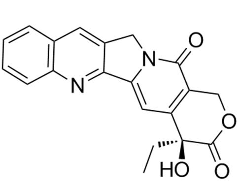 中性生物碱喜树碱丨艾美捷喜树碱(Camptothecin)方案 中性生物碱喜树碱丨艾美捷喜树碱(Camptothecin)方案