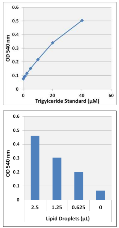 数据支持丨Cell Biolabs  脂滴分离提取试剂盒