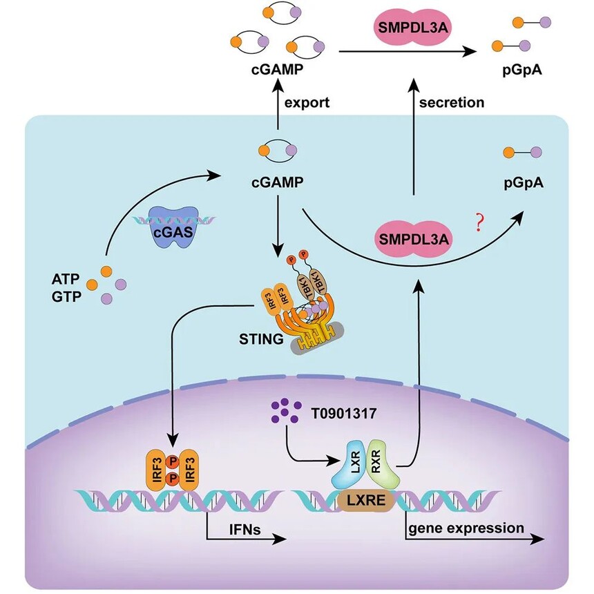 1699405500580922.jpg 1699405500580922.jpg