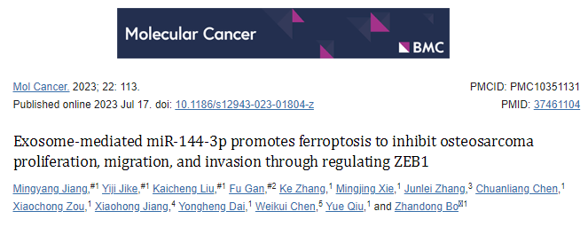 【Mol Cancer】37+，外泌体介导的miR-144-3p通过调节ZEB1促进铁死亡抑制骨肉瘤的增殖、迁移和侵袭