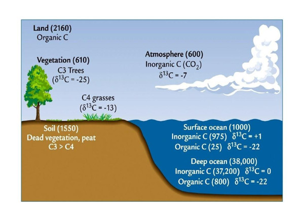 稳定同位素在水污染检测中作用和相关产品