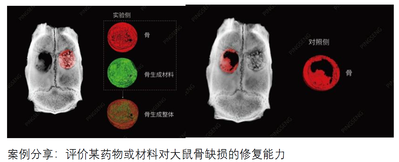 小动物成像检测有哪些?可以对应哪些指标?
