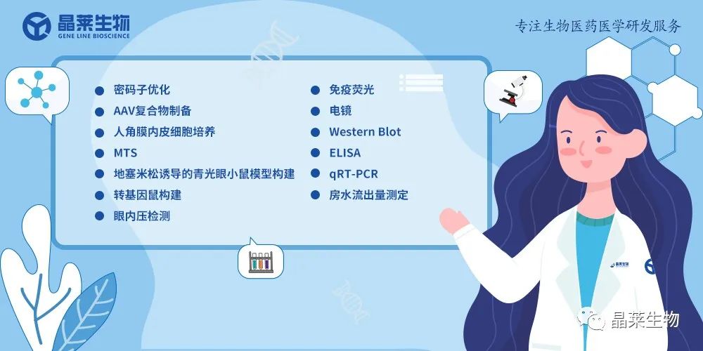 1698647063851262.jpg 新闻图片15