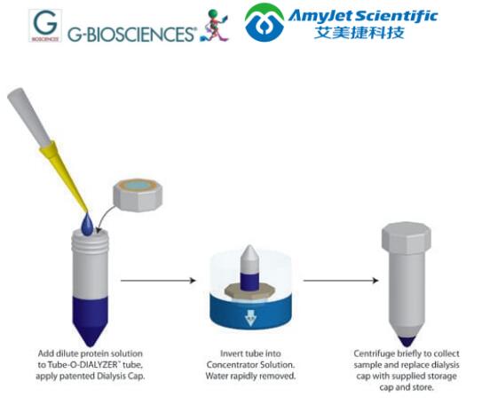 样品制备丨G-Biosciences Tube-O-CONCENTRATOR™方案