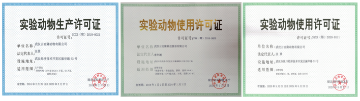 做实验动物疾病模型，云克隆是认真的